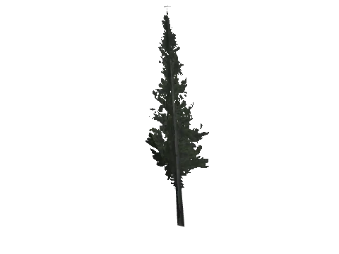 cs1_16_props_cedars01_24_lod, a GTA V map model