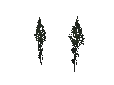 cs1_16_props_cedars02_07_lod, a GTA V map model