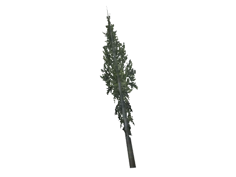 cs1_16_props_cedars03_11_lod, a GTA V map model