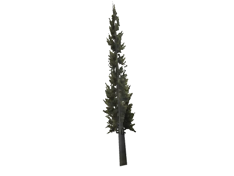 cs1_16_props_cedars03_17_lod, a GTA V map model