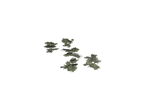 cs2_02_props_bush13_06_lod, a GTA V map model