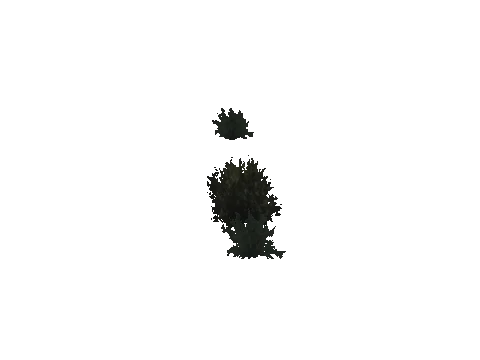 cs2_02_props_bush14_08_lod, a GTA V map model