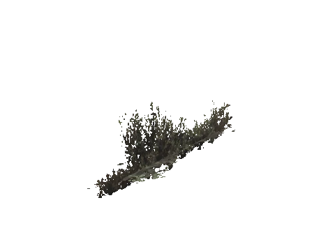 cs2_02_props_bush14_25_lod, a GTA V map model