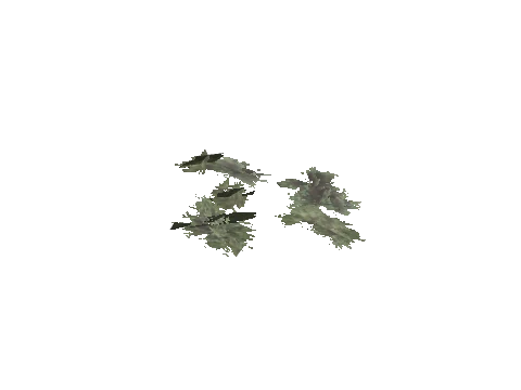 cs2_02_props_bush16_04_lod, a GTA V map model