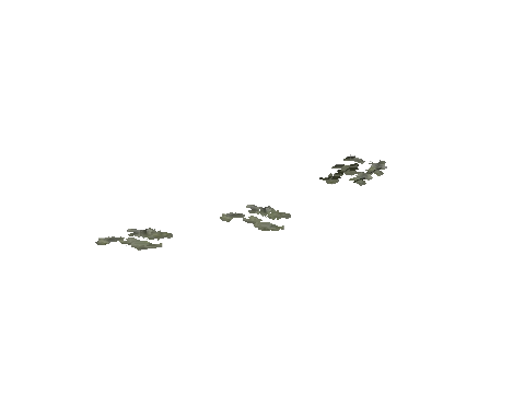 cs2_02_props_bush16_05_lod, a GTA V map model