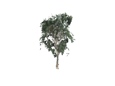 cs2_02_props_bush18_06_lod, a GTA V map model