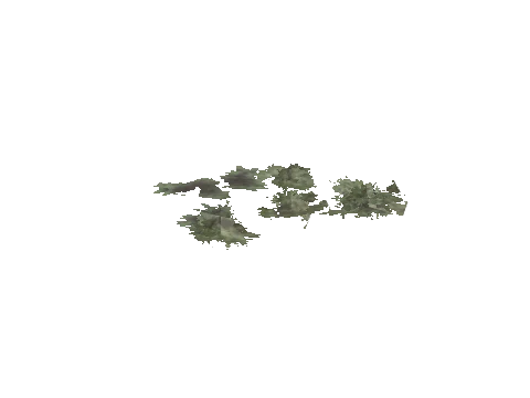 cs2_02_props_bush18_13_lod, a GTA V map model