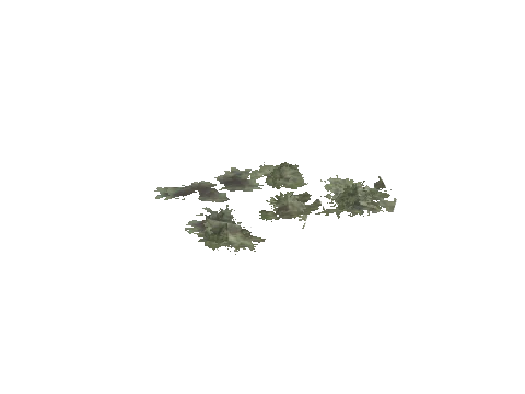 cs2_02_props_bush18_16_lod, a GTA V map model