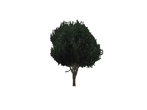 cs2_02_props_bush20_30_lod, a GTA V map model