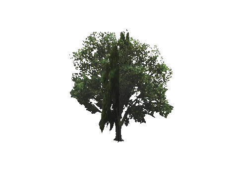 cs2_02_props_bush24_03_lod, a GTA V map model