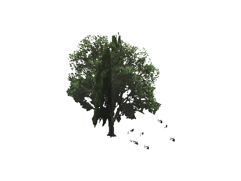 cs2_02_props_bush24_slod, a GTA V map model