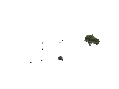 cs2_02_props_bush25_09_lod, a GTA V map model