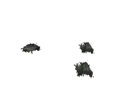 cs2_02_props_bush25_10_lod, a GTA V map model