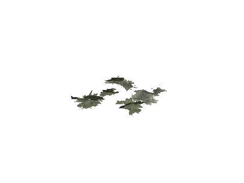 cs2_02_props_bush25_17_lod, a GTA V map model