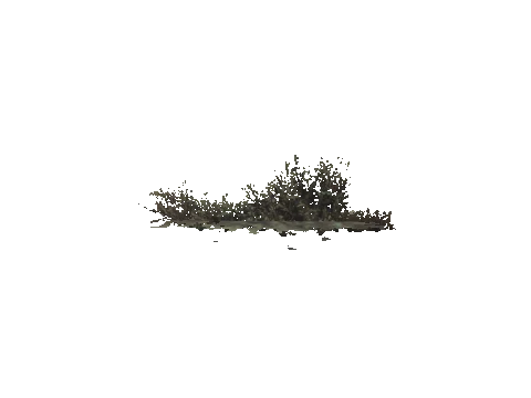 cs2_02_props_bush25_29_lod, a GTA V map model