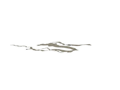 cs2_06_lakebed_d_81, a GTA V map model