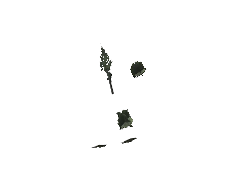 cs2_08_props_veg245_08_lod, a GTA V map model