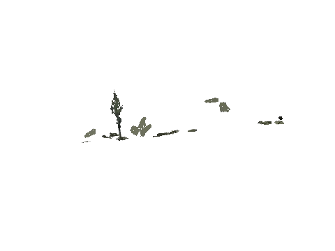 cs2_08_props_veg245_09_lod, a GTA V map model