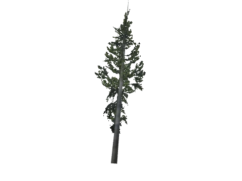 cs2_08_props_veg245_42_lod, a GTA V map model