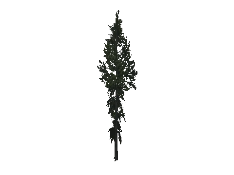 cs2_08_props_veg249_30_lod, a GTA V map model