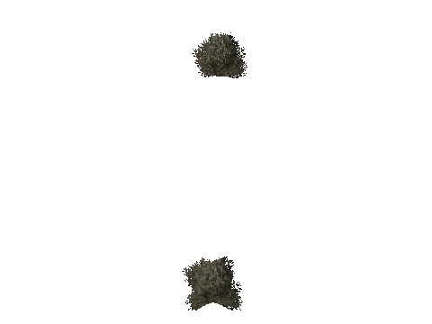 cs2_08_props_veg251_27_lod, a GTA V map model