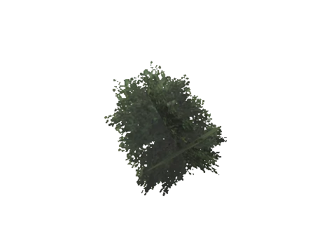cs2_08_props_veg256_31_lod, a GTA V map model