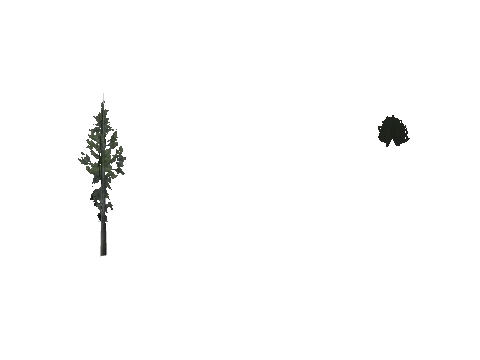 cs2_08_props_veg257_58_lod, a GTA V map model