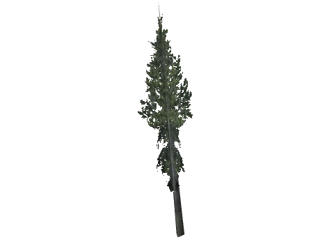 cs2_08_props_veg257_67_lod, a GTA V map model
