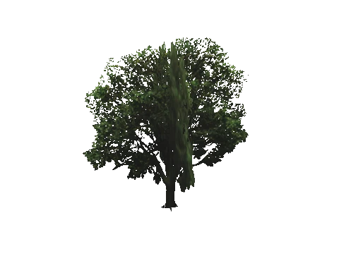cs2_08_props_veg257_70_lod, a GTA V map model