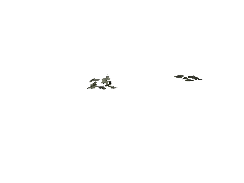 cs2_08_props_veg258_28_lod, a GTA V map model