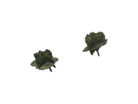 cs2_08_props_veg258_36_lod, a GTA V map model