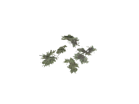 cs2_08_props_veg276_07_lod, a GTA V map model