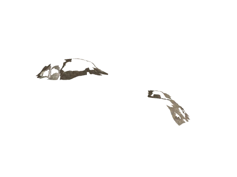 cs2_09_land04_decal, a GTA V map model