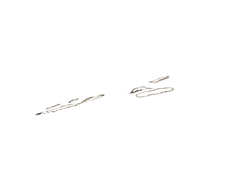 cs2_09b_decals_04, a GTA V map model