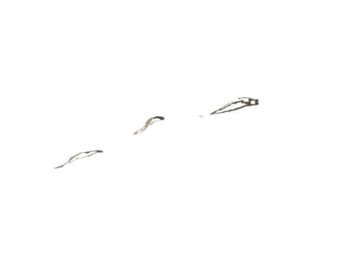 cs2_09b_decals_08, a GTA V map model