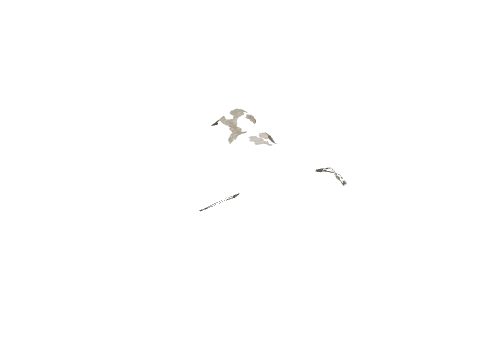 cs2_10_nland04_d, a GTA V map model