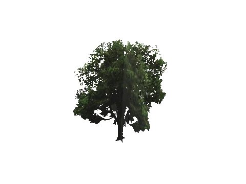 cs2_10_props_veg119_02_lod, a GTA V map model