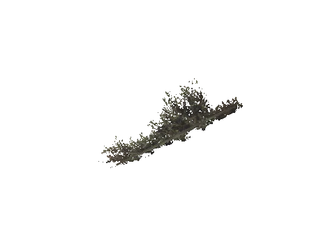 cs2_10_props_veg120_22_lod, a GTA V map model