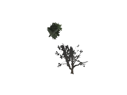 cs2_10_props_veg122_26_lod, a GTA V map model