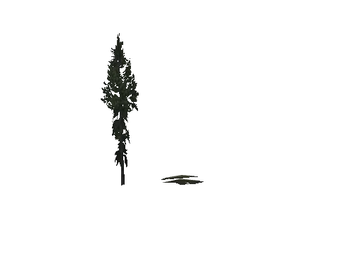 cs2_10_props_veg128_24_lod, a GTA V map model