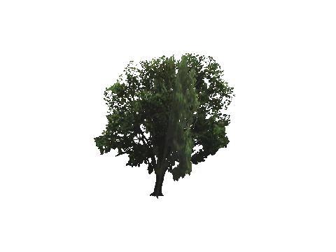 cs2_10_props_veg128_50_lod, a GTA V map model