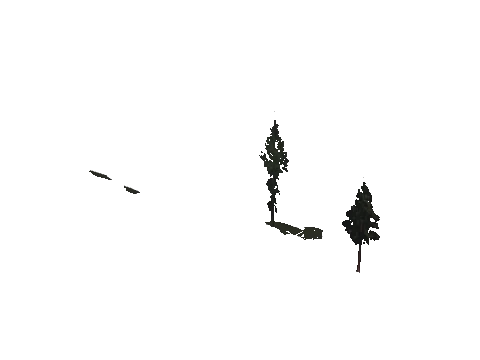 cs2_10_props_veg130_10_lod, a GTA V map model