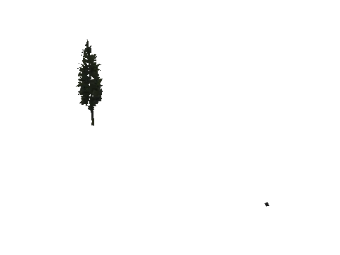 cs2_10_props_veg130_11_lod, a GTA V map model