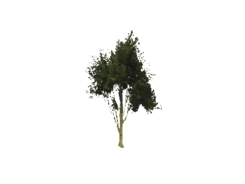 cs2_10_props_veg215_13_lod, a GTA V map model