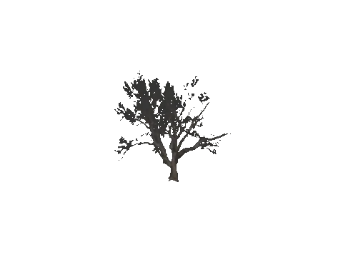cs2_10_props_veg218_21_lod, a GTA V map model
