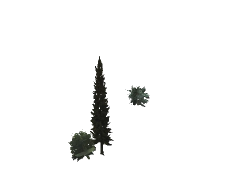 cs2_10_props_veg220_27_lod, a GTA V map model