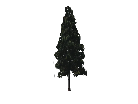 cs2_10_props_veg220_41_lod, a GTA V map model