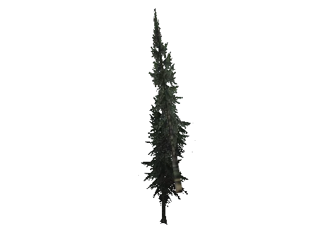 cs2_10_props_veg220_64_lod, a GTA V map model