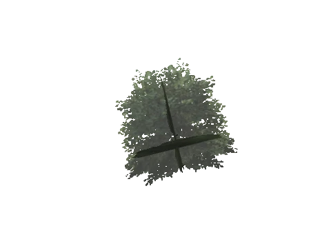 cs2_10_props_veg221_29_lod, a GTA V map model