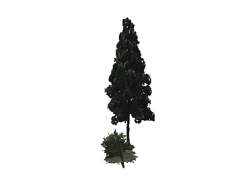 cs2_10_props_veg221_41_lod, a GTA V map model